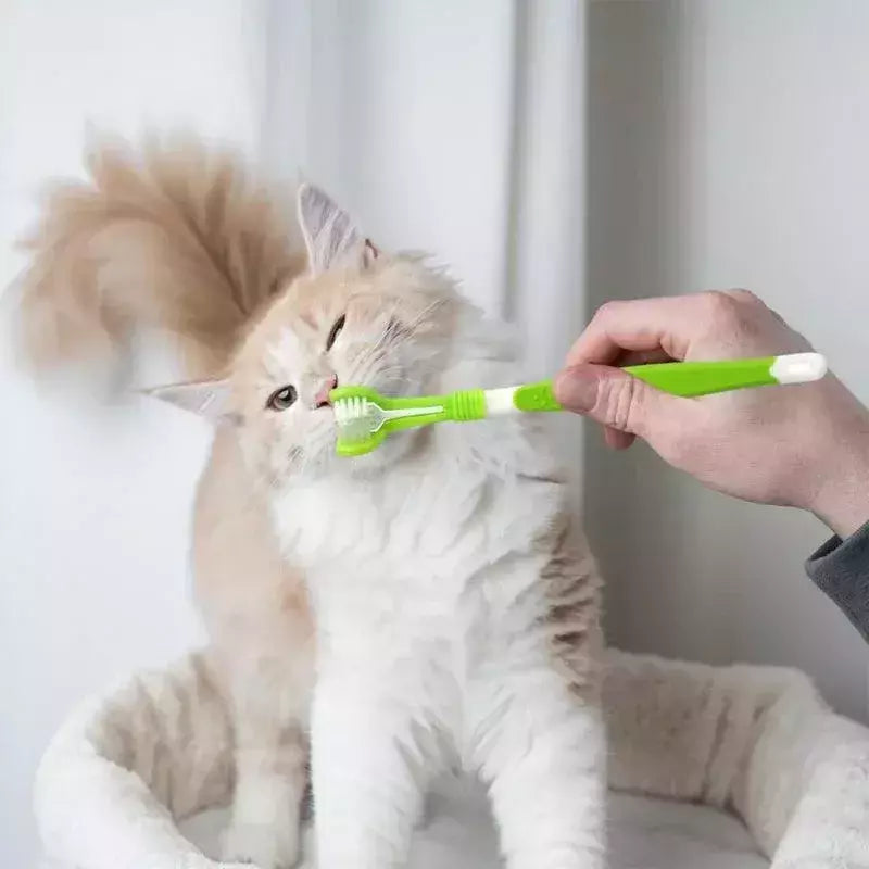Escova de dentes de plástico para animais de estimação, 3 lados, remoção de tártaro, mau hálito, limpeza de boca, cuidados dentários para animais de estimação, boca de limpeza de gato