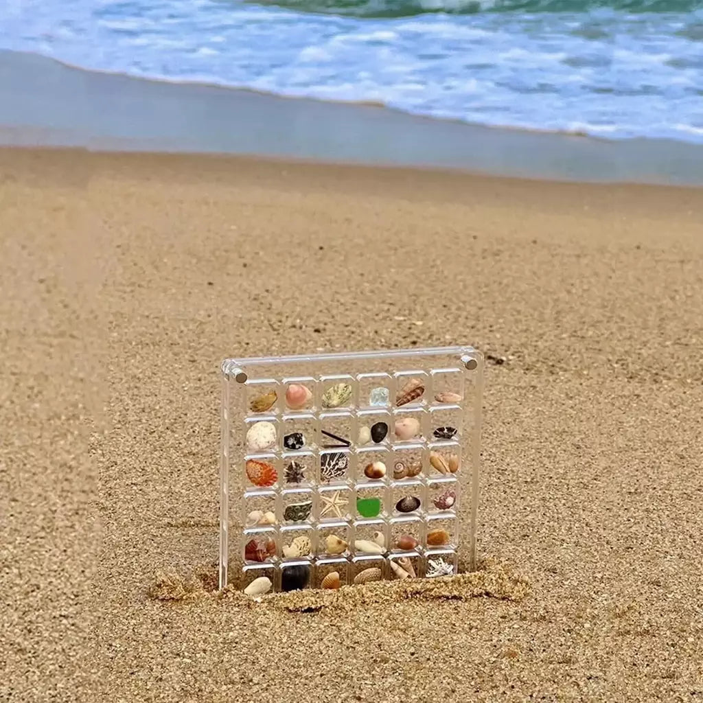 Caixa de exibição acrílica Seashell, concha magnética, organizadores claros Starfish Trinket, caixa de armazenamento Mini Seashell, 36, 64, 100 grades