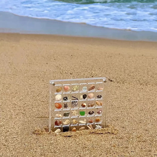 Caixa de exibição acrílica Seashell, concha magnética, organizadores claros Starfish Trinket, caixa de armazenamento Mini Seashell, 36, 64, 100 grades
