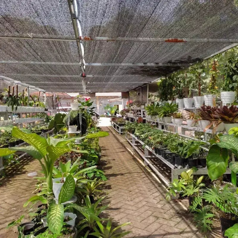 2-15m preto pára-sol net sombra sombreamento protetor solar malha capa planta estufa tela de privacidade jardim ao ar livre anti-uv pano casa