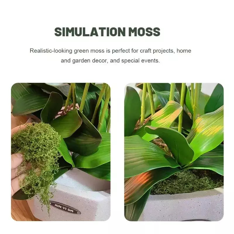 30/100g plantas verdes artificiais vida eterna musgo gramado mini paisagismo casa jardim decoração da sala grama falsa diy artesanato presentes