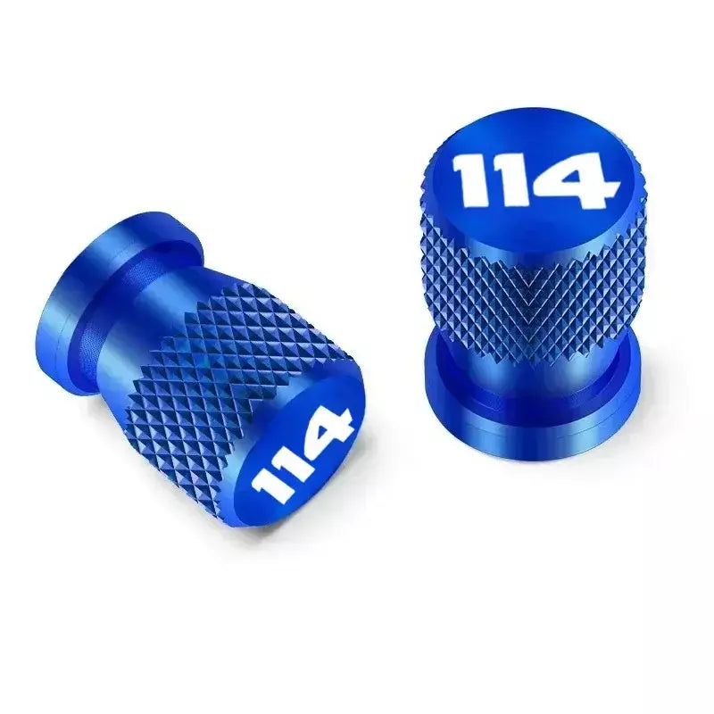 Acessórios para motocicleta cnc, tampas da haste da válvula do pneu, plugues para harley softail fat boy 114 flfb flfbs street bob 2018-2022 2023