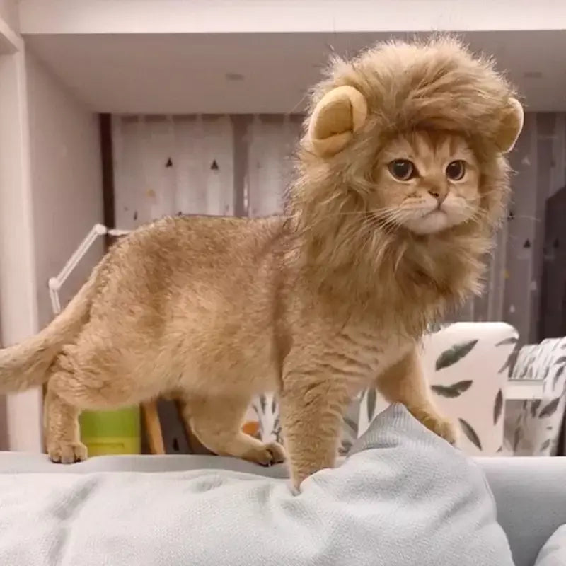 Gato cosplay vestir-se chapéu para animais de estimação juba de leão para gato filhote de cachorro leão peruca traje festa decoração halloween natal gatospet suprimentos