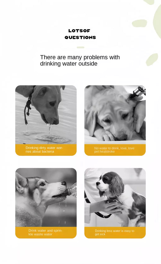 Cão portátil tigela de água portátil material de qualidade alimentar cão gato viagem pet garrafa de água com dispensador de alimentos suprimentos para cães de estimação