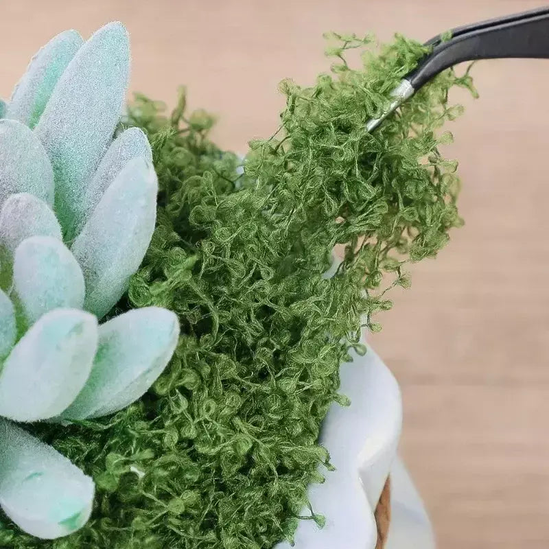30/100g plantas verdes artificiais vida eterna musgo gramado mini paisagismo casa jardim decoração da sala grama falsa diy artesanato presentes