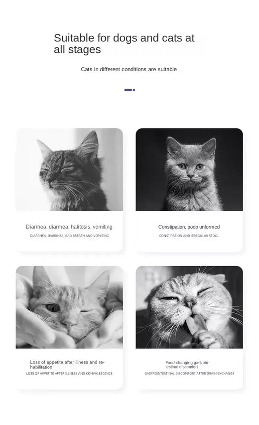 Probióticos para cães, gatos, animais de estimação, condicionamento, tesouro gastrointestinal para melhorar a diarreia, vomitando e diarreia 50g