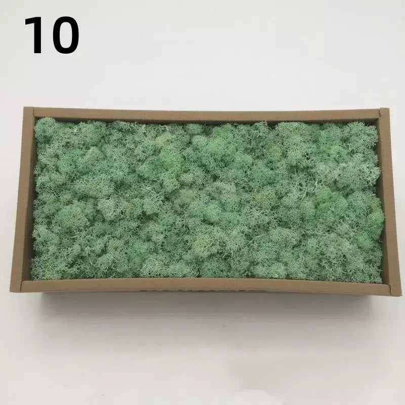 Novo 50/30/10g plantas verdes artificiais vida eterna musgo grama casa decoração do jardim mini paisagem flor falsa diy artesanato presentes