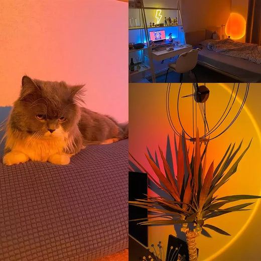 LED USB Sunset Lamp, Nightlights, Projetor, Birthday Party, Mood Lights, Quarto, Sala de estar, Fotografia de parede