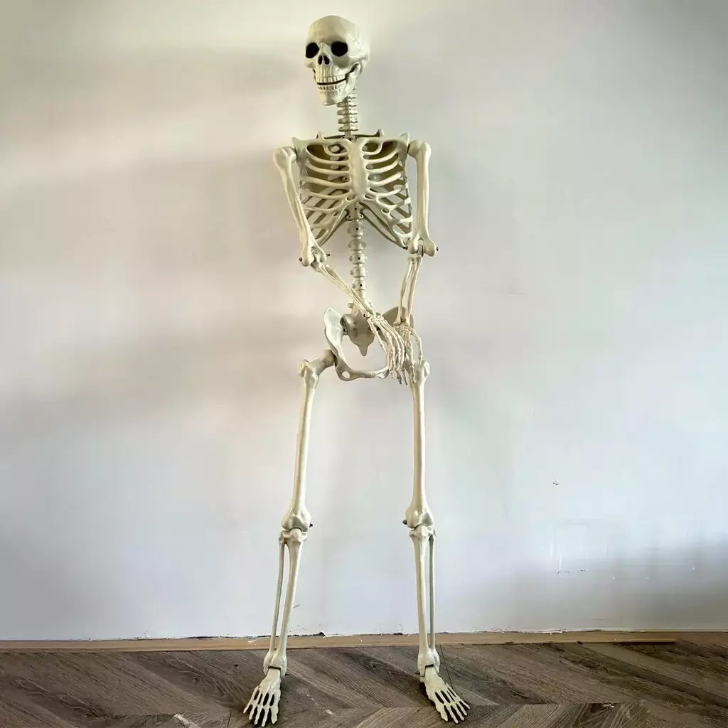 Esqueleto de halloween em tamanho real, esqueleto humano com articulações posáveis, resistente às intempéries, decoração de jardim, adereços fotográficos assustadores para feriados
