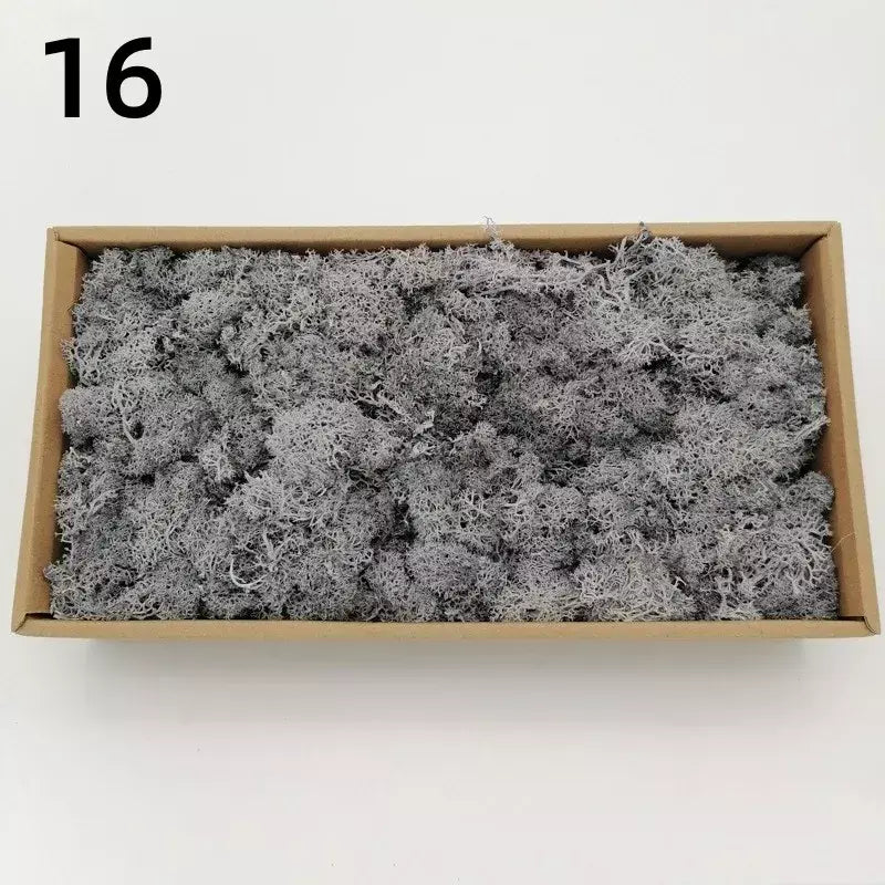 Novo 50/30/10g plantas verdes artificiais vida eterna musgo grama casa decoração do jardim mini paisagem flor falsa diy artesanato presentes