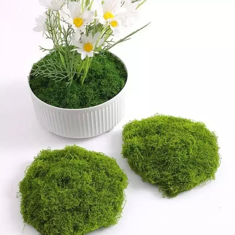 30/100g plantas verdes artificiais vida eterna musgo gramado mini paisagismo casa jardim decoração da sala grama falsa diy artesanato presentes