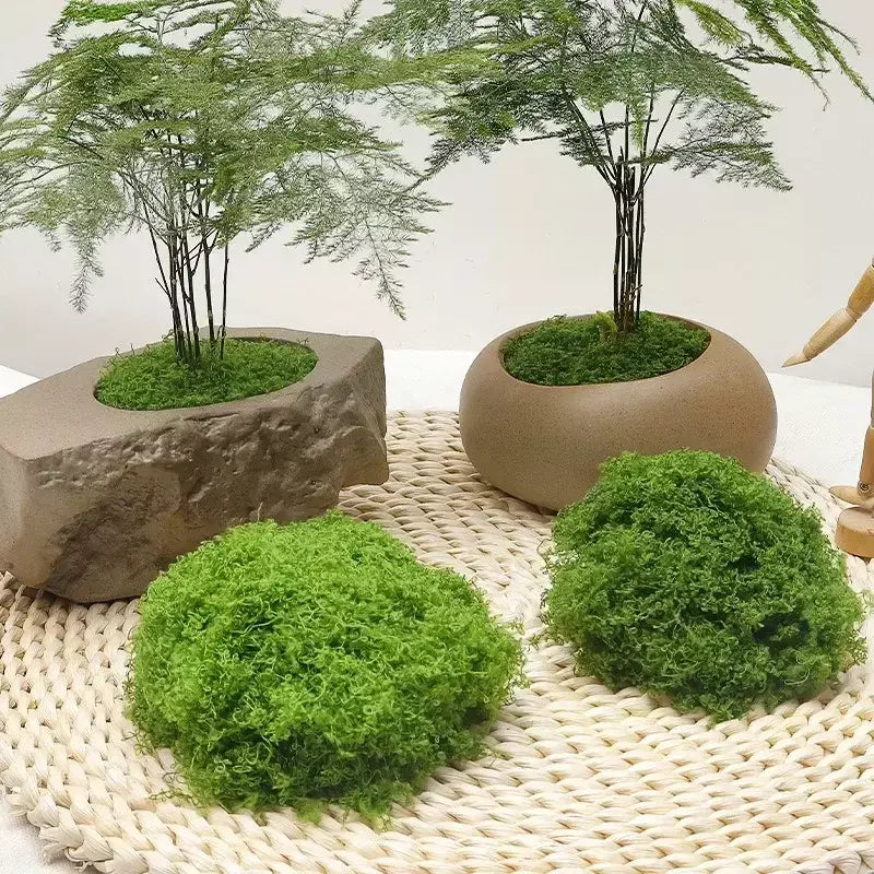 30/100g plantas verdes artificiais vida eterna musgo gramado mini paisagismo casa jardim decoração da sala grama falsa diy artesanato presentes