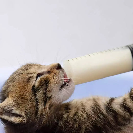 Alimentação Seringa Cola Enchimento e Medição Seringa, Nutriente Saúde Estéril Sem Agulha, Rega de reenchimento para alimentação animal, 100ml