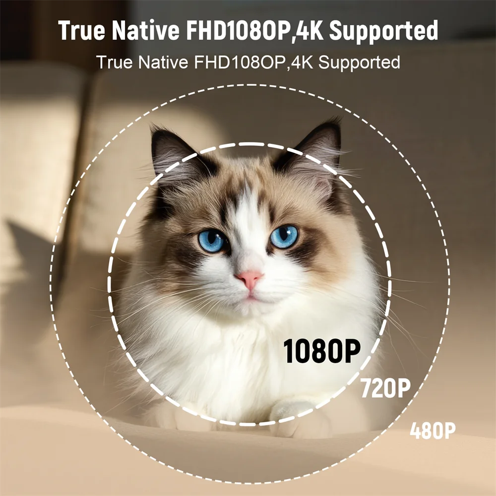 Projetor de certificação Velec Netflix Android 13 4K nativo 1080P 650ANSI com foco automático Wifi6 BT5.2 360 ° Projetor doméstico para exterior