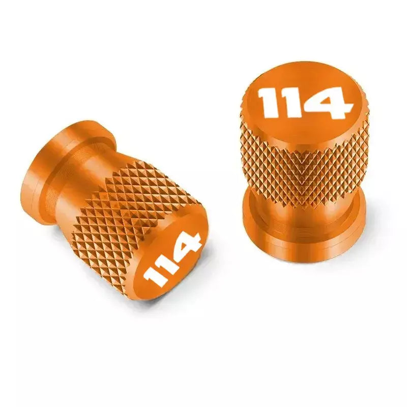 Acessórios para motocicleta cnc, tampas da haste da válvula do pneu, plugues para harley softail fat boy 114 flfb flfbs street bob 2018-2022 2023