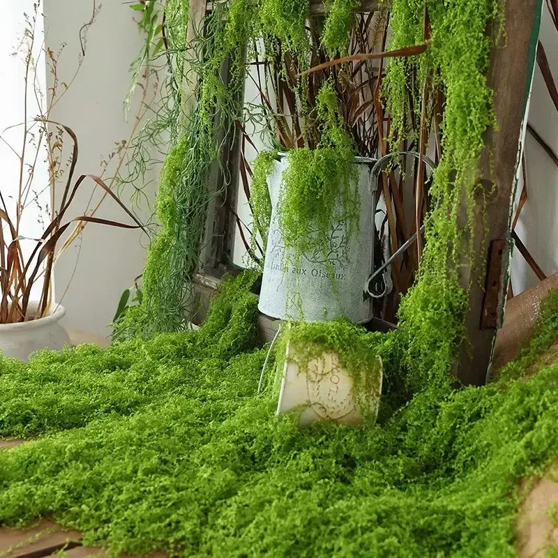 30/100g plantas verdes artificiais vida eterna musgo gramado mini paisagismo casa jardim decoração da sala grama falsa diy artesanato presentes
