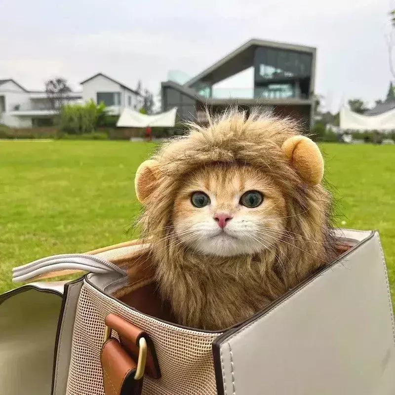 Gato cosplay vestir-se chapéu para animais de estimação juba de leão para gato filhote de cachorro leão peruca traje festa decoração halloween natal gatospet suprimentos