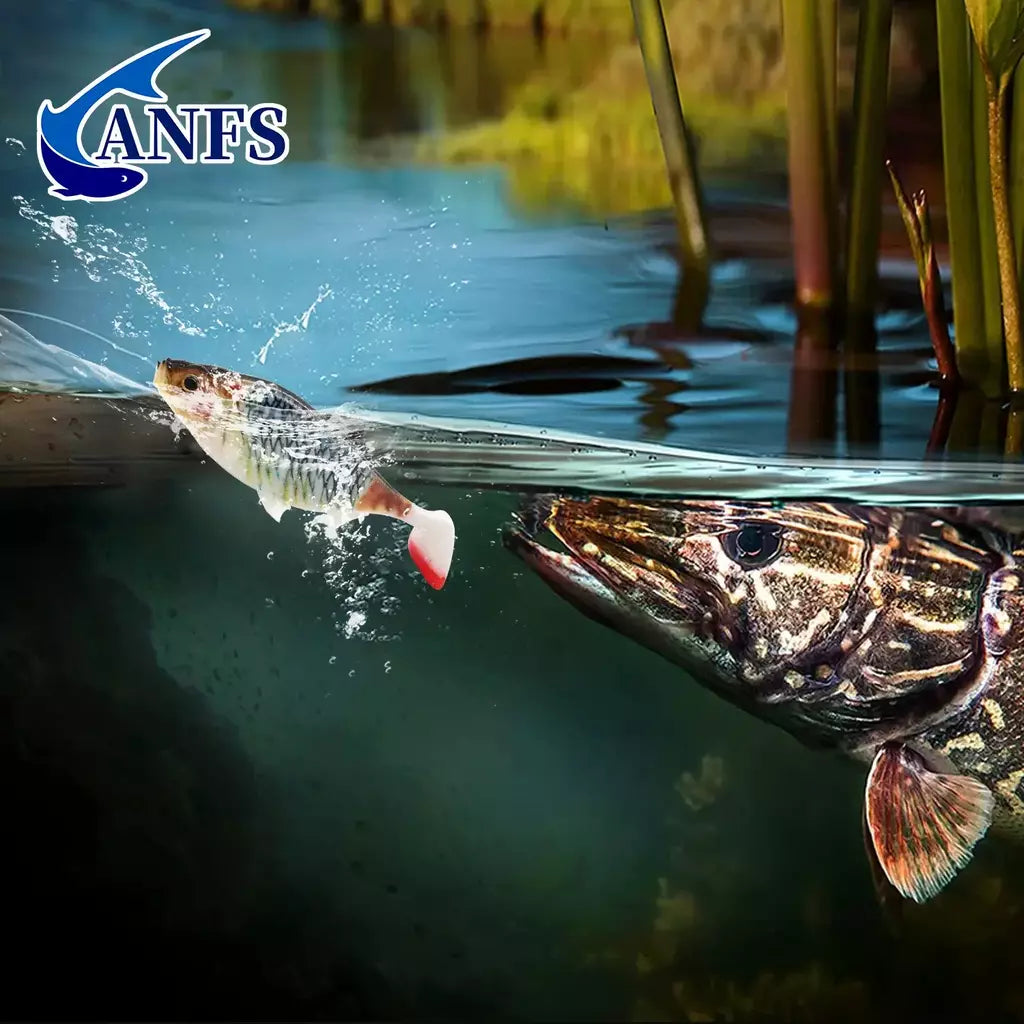 Anfs 2 pçs kit de pesca macia 3d 14cm/5.5 Polegada isca artificial shad pique poleiro zander bagre equipamento de pesca isca artificial