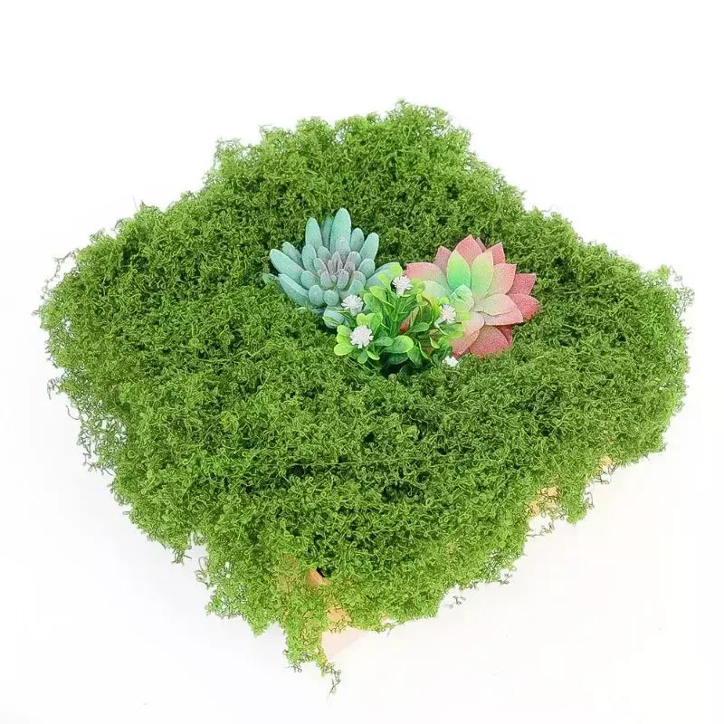30/100g plantas verdes artificiais vida eterna musgo gramado mini paisagismo casa jardim decoração da sala grama falsa diy artesanato presentes