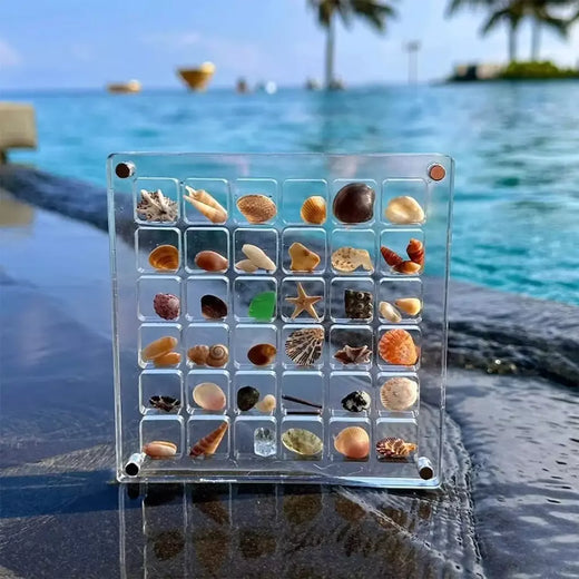 Caixa de exibição acrílica Seashell, concha magnética, organizadores claros Starfish Trinket, caixa de armazenamento Mini Seashell, 36, 64, 100 grades