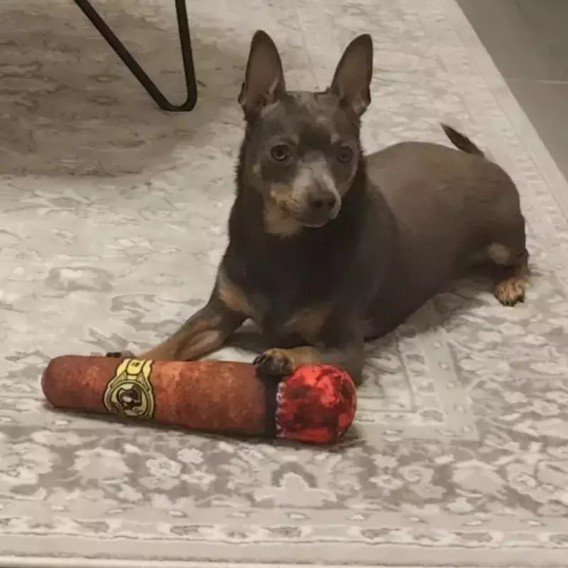 Cão interativo conjunta som filhote de cachorro brinquedos charuto para pequenos resistente rangido cães indestrutível cão de pelúcia mascar brinquedo pet mordida brinquedos
