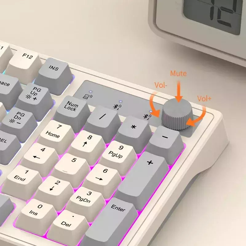 Teclado sem fio multifuncional, Luz do arco-íris, 2.4G, Bluetooth, Conexão de modo duplo, Adequado para computador e laptop, 98 teclas