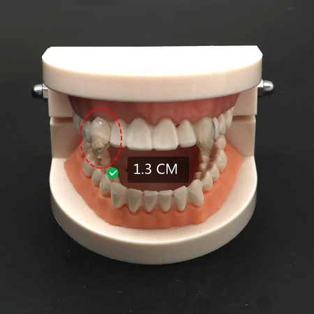 1 par de dentes de vampiro, presas, adereços para dentaduras, fantasia de halloween, dentes falsos, cola sólida, adesivo para dentadura, decoração de festa de halloween