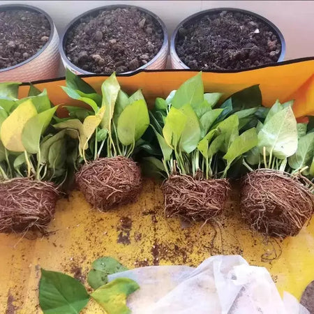 Tapete de plantio dobrável à prova d'água, tapete de jardim para vaso de flores, transplante, mistura de solo, ferramenta de poda de plantas