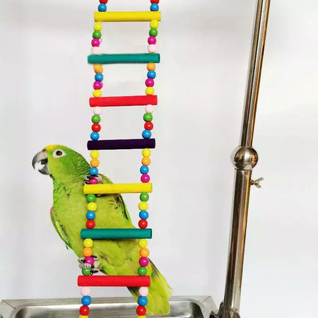 Pássaro papagaio brinquedos colorido pendurado gaiola escadas de escalada com papagaios de madeira natural suspensão ponte balanço brinquedos pássaro brinquedo suprimentos
