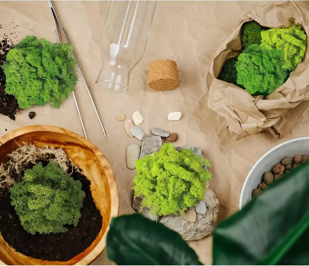 Novo 50/30/10g plantas verdes artificiais vida eterna musgo grama casa decoração do jardim mini paisagem flor falsa diy artesanato presentes