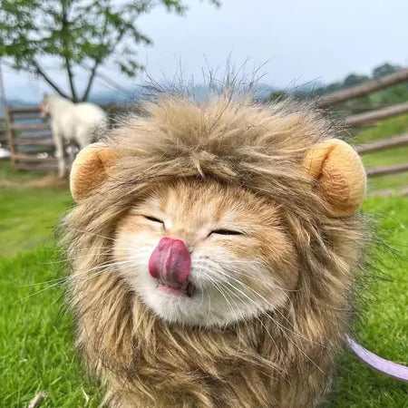 Gato cosplay vestir-se chapéu para animais de estimação juba de leão para gato filhote de cachorro leão peruca traje festa decoração halloween natal gatospet suprimentos