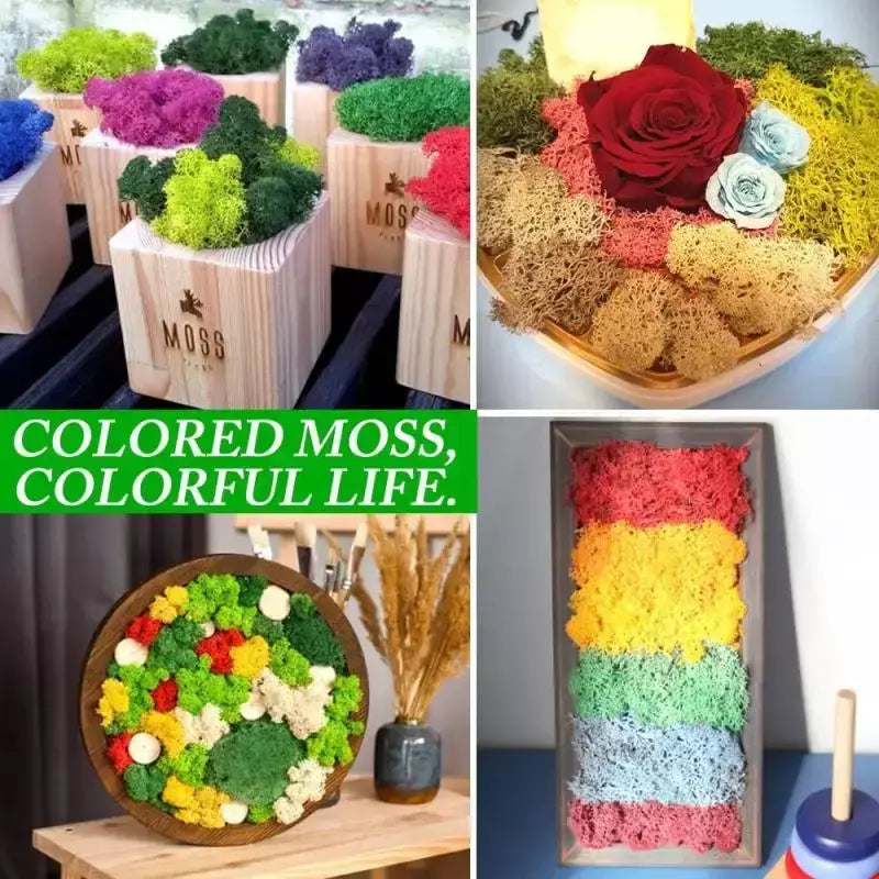 Novo 50/30/10g plantas verdes artificiais vida eterna musgo grama casa decoração do jardim mini paisagem flor falsa diy artesanato presentes