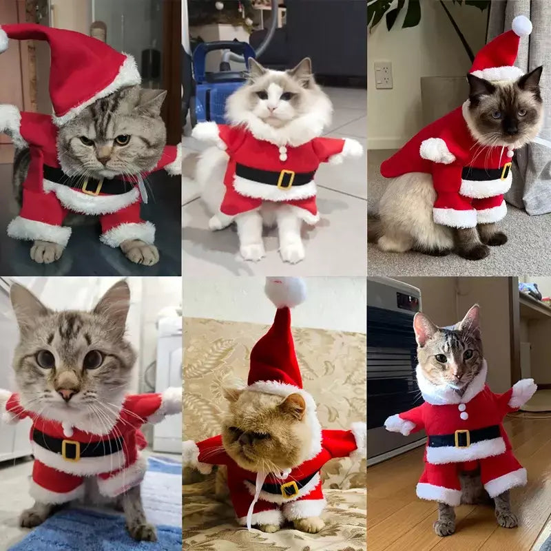 Gato natal cosplay terno animais de estimação roupas para cães pequenos animal de estimação engraçado papai noel vestir-se traje bonito gatinho ano novo maine vestuário