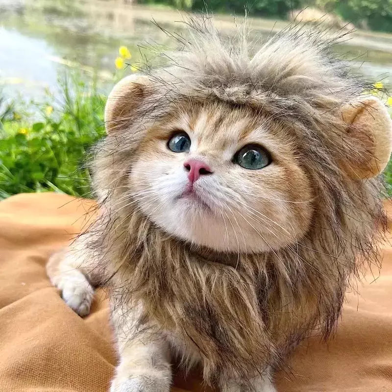 Gato cosplay vestir-se chapéu para animais de estimação juba de leão para gato filhote de cachorro leão peruca traje festa decoração halloween natal gatospet suprimentos