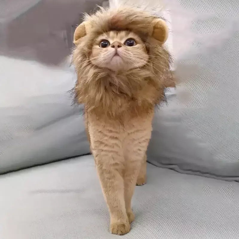 Gato cosplay vestir-se chapéu para animais de estimação juba de leão para gato filhote de cachorro leão peruca traje festa decoração halloween natal gatospet suprimentos