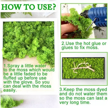 Novo 50/30/10g plantas verdes artificiais vida eterna musgo grama casa decoração do jardim mini paisagem flor falsa diy artesanato presentes