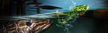 Topwater sapo isca baixo truta iscas de pesca kit conjunto realista prop sapo macio swimbait flutuante com ganchos malhas