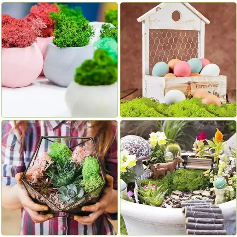 Novo 50/30/10g plantas verdes artificiais vida eterna musgo grama casa decoração do jardim mini paisagem flor falsa diy artesanato presentes
