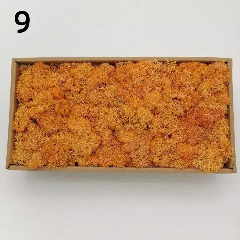 Novo 50/30/10g plantas verdes artificiais vida eterna musgo grama casa decoração do jardim mini paisagem flor falsa diy artesanato presentes
