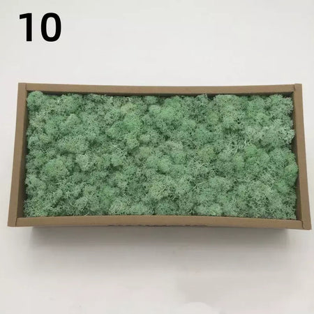 Novo 50/30/10g plantas verdes artificiais vida eterna musgo grama casa decoração do jardim mini paisagem flor falsa diy artesanato presentes