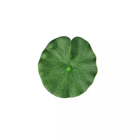Lifelike Floating Lotus Artificial Flower Decoration, Water Lily, Micro Paisagem para Casamento, Lagoa, Jardim, Decoração de Plantas Falsas, 10pcs