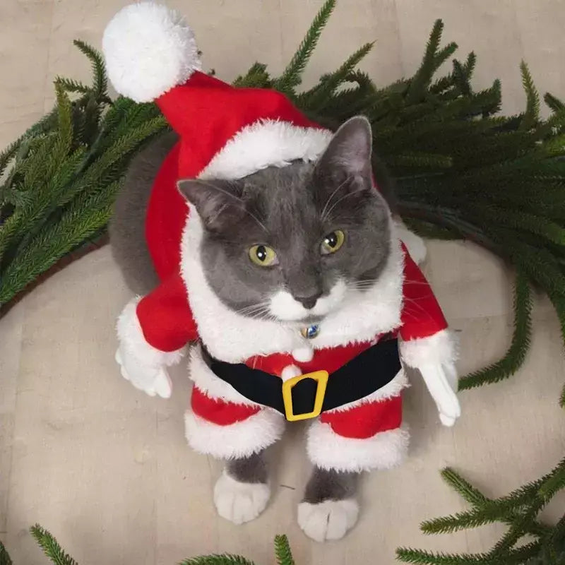 Gato natal cosplay terno animais de estimação roupas para cães pequenos animal de estimação engraçado papai noel vestir-se traje bonito gatinho ano novo maine vestuário