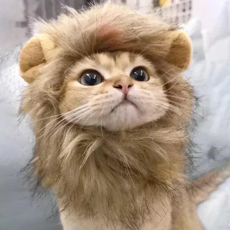 Gato cosplay vestir-se chapéu para animais de estimação juba de leão para gato filhote de cachorro leão peruca traje festa decoração halloween natal gatospet suprimentos