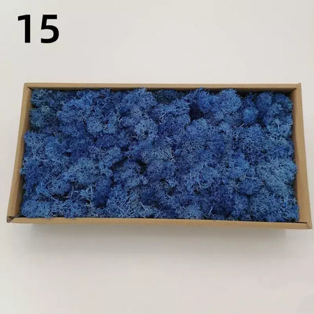 Novo 50/30/10g plantas verdes artificiais vida eterna musgo grama casa decoração do jardim mini paisagem flor falsa diy artesanato presentes