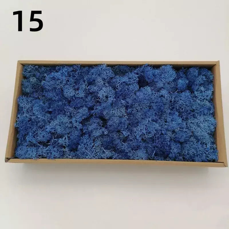 Novo 50/30/10g plantas verdes artificiais vida eterna musgo grama casa decoração do jardim mini paisagem flor falsa diy artesanato presentes