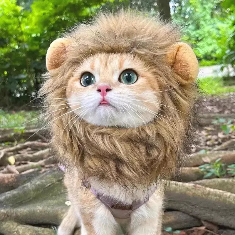 Gato cosplay vestir-se chapéu para animais de estimação juba de leão para gato filhote de cachorro leão peruca traje festa decoração halloween natal gatospet suprimentos