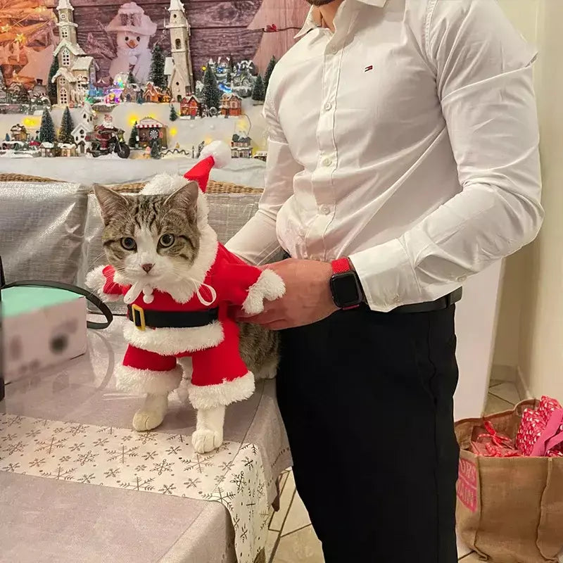 Gato natal cosplay terno animais de estimação roupas para cães pequenos animal de estimação engraçado papai noel vestir-se traje bonito gatinho ano novo maine vestuário