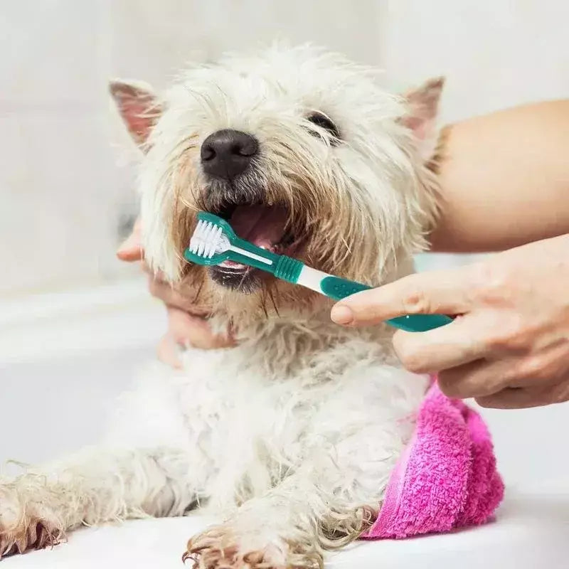 Escova de dentes de plástico para animais de estimação, 3 lados, remoção de tártaro, mau hálito, limpeza de boca, cuidados dentários para animais de estimação, boca de limpeza de gato