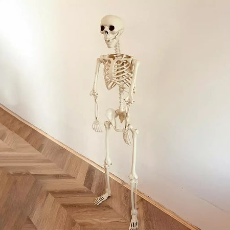 Esqueleto de halloween em tamanho real, esqueleto humano com articulações posáveis, resistente às intempéries, decoração de jardim, adereços fotográficos assustadores para feriados