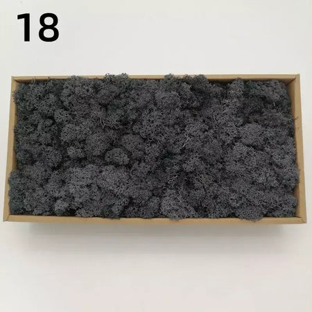 Novo 50/30/10g plantas verdes artificiais vida eterna musgo grama casa decoração do jardim mini paisagem flor falsa diy artesanato presentes